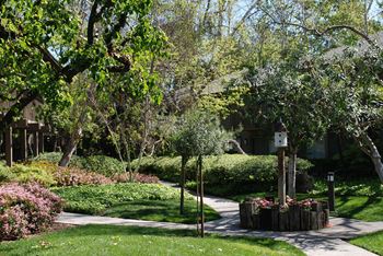 Green space walking path